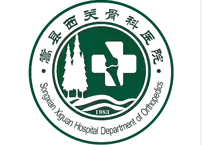 嵩县西关骨科医院